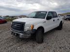 2012 Ford F150 Supercrew for Sale in Magna, UT - Front End