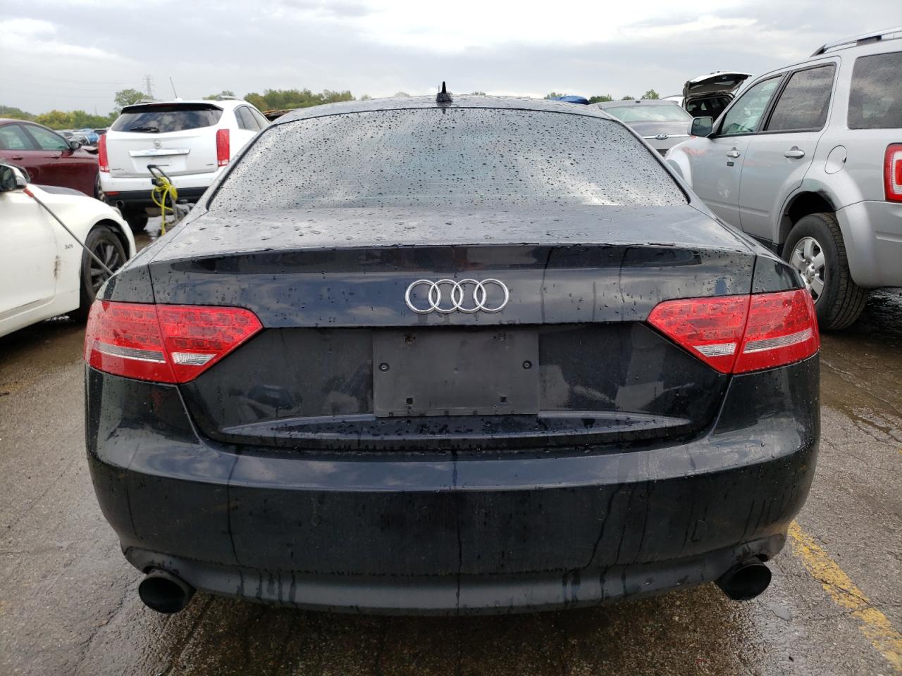 2010 Audi A5 Premium Plus VIN: WAULFAFR1AA038126 Lot: 69623613