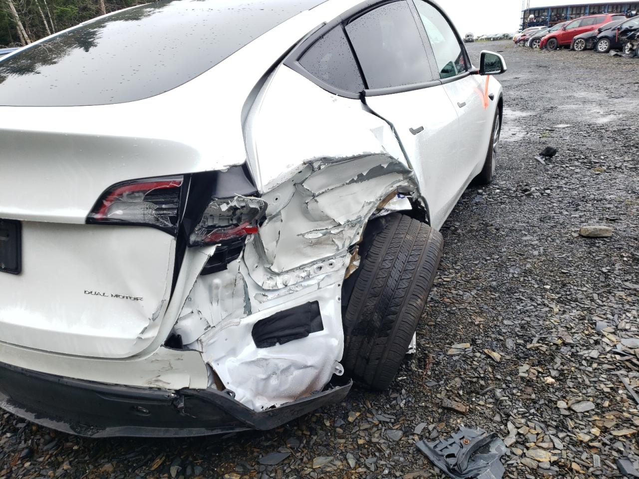 2023 Tesla Model Y VIN: 7SAYGDEE7PF606971 Lot: 66373563