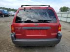 2004 Ford Escape Xlt for Sale in Shreveport, LA - Front End