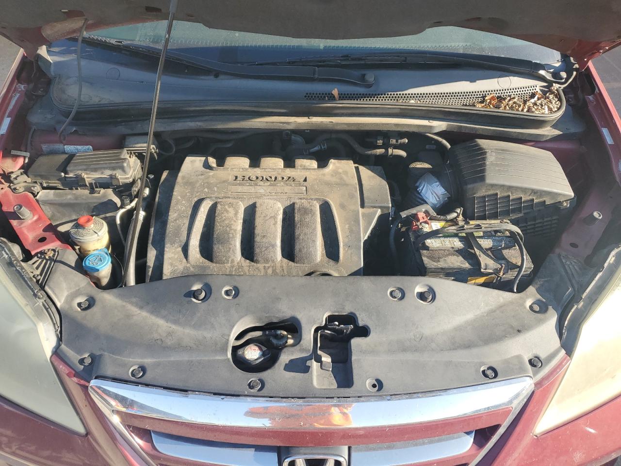 2005 Honda Odyssey Exl VIN: 5FNRL387X5B106837 Lot: 68210263