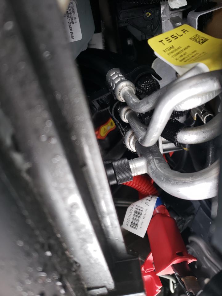 2023 Tesla Model Y VIN: 7SAYGDEE7PF606971 Lot: 66373563