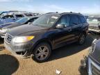 2011 Hyundai Santa Fe Limited продається в Brighton, CO - Front End
