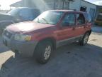 2007 Ford Escape Xlt for Sale in Corpus Christi, TX - Rear End