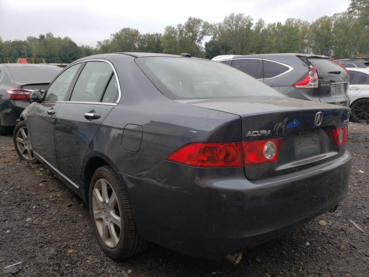 2005 Acura TSX - Image 2