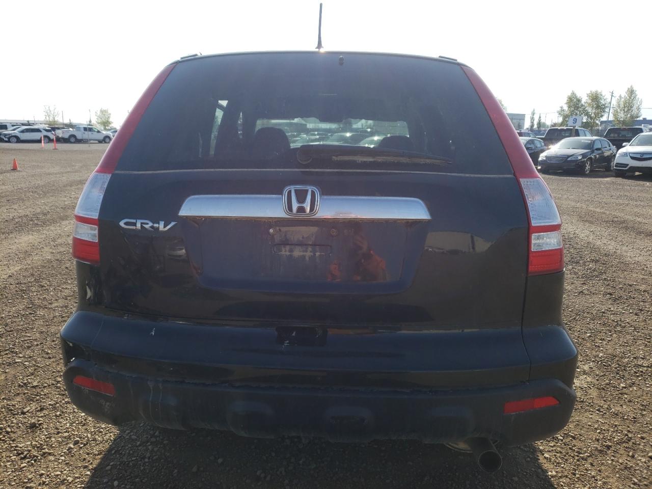 2008 Honda Cr-V Exl VIN: 5J6RE48798L812080 Lot: 68949413