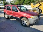 2007 Ford Escape Xlt for Sale in Corpus Christi, TX - Rear End