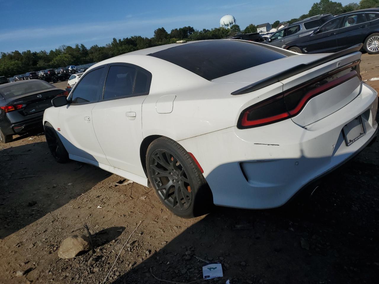 2017 Dodge Charger R/T 392 VIN: 2C3CDXGJXHH605521 Lot: 44276914