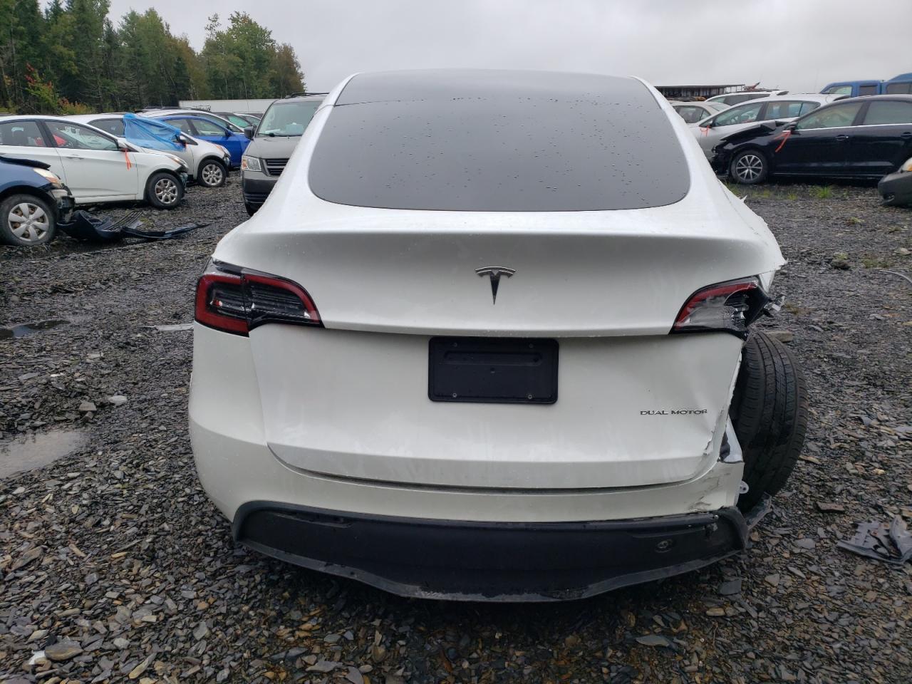 2023 Tesla Model Y VIN: 7SAYGDEE7PF606971 Lot: 66373563