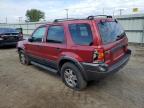 2004 Ford Escape Xlt for Sale in Shreveport, LA - Front End
