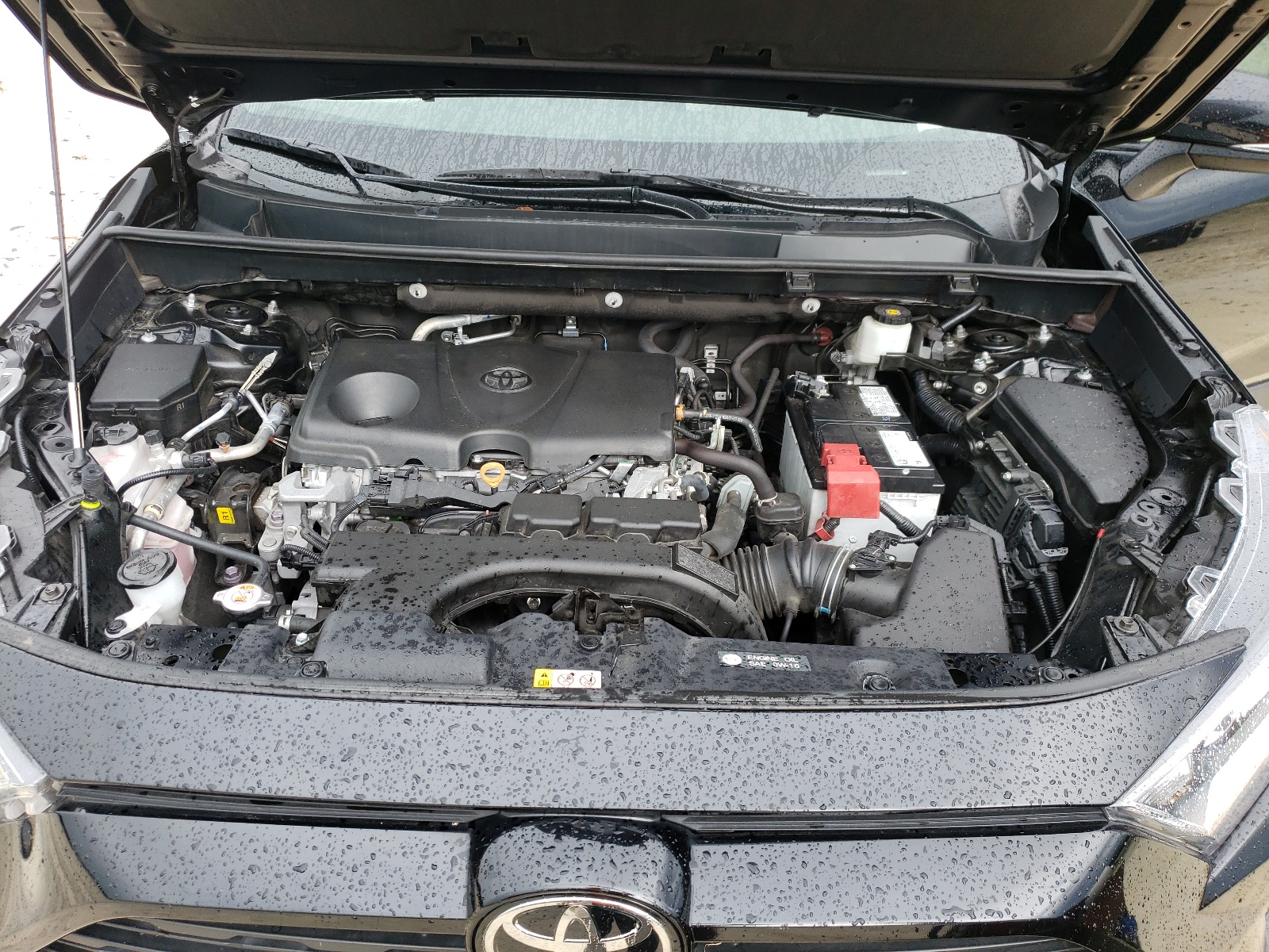 2T3C1RFV2MC172311 2021 Toyota Rav4 Xle Premium