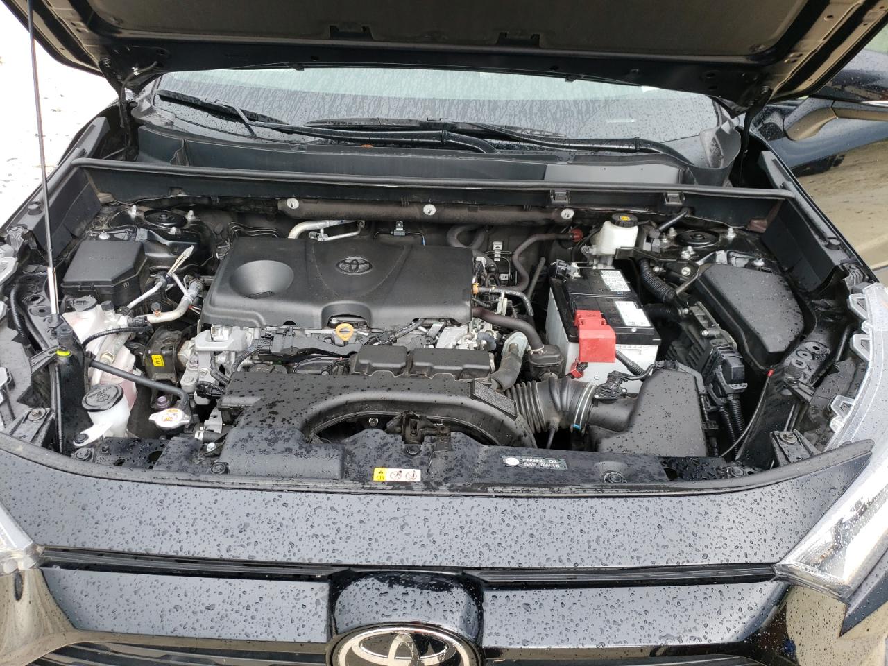 2021 Toyota Rav4 Xle Premium VIN: 2T3C1RFV2MC172311 Lot: 67254283