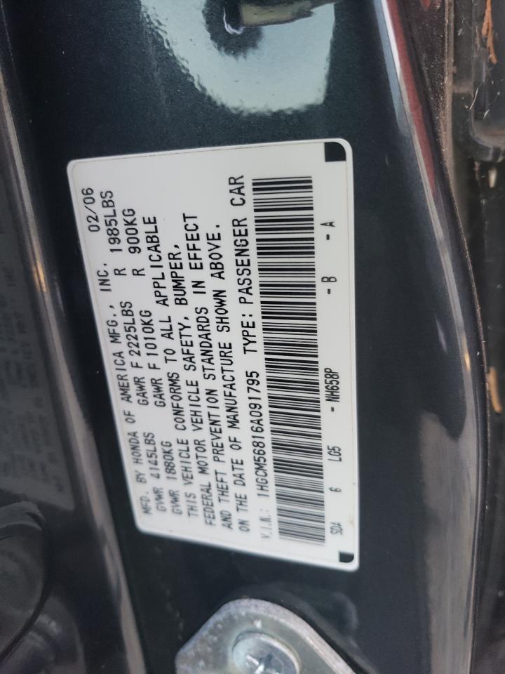 2006 Honda Accord Ex VIN: 1HGCM56816A091795 Lot: 41581104