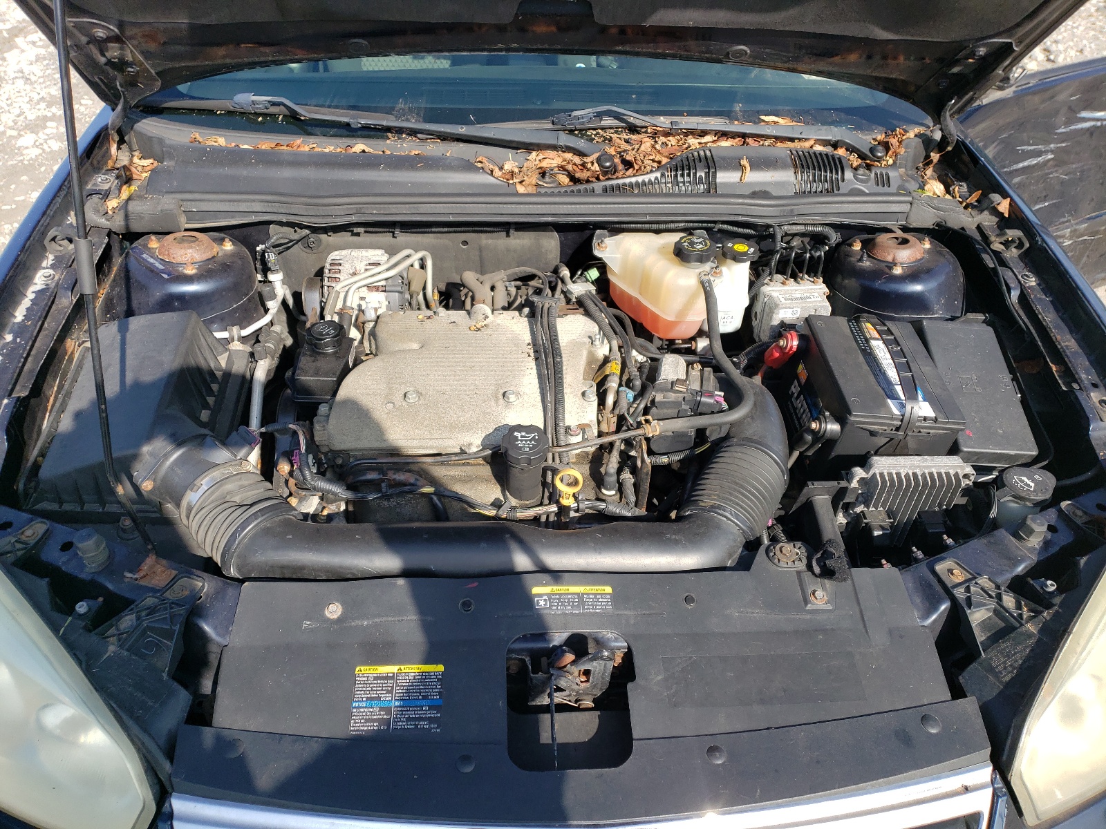 1G1ZT68N67F268102 2007 Chevrolet Malibu Maxx Lt