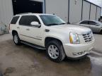 2009 Cadillac Escalade  zu verkaufen in Apopka, FL - Hail