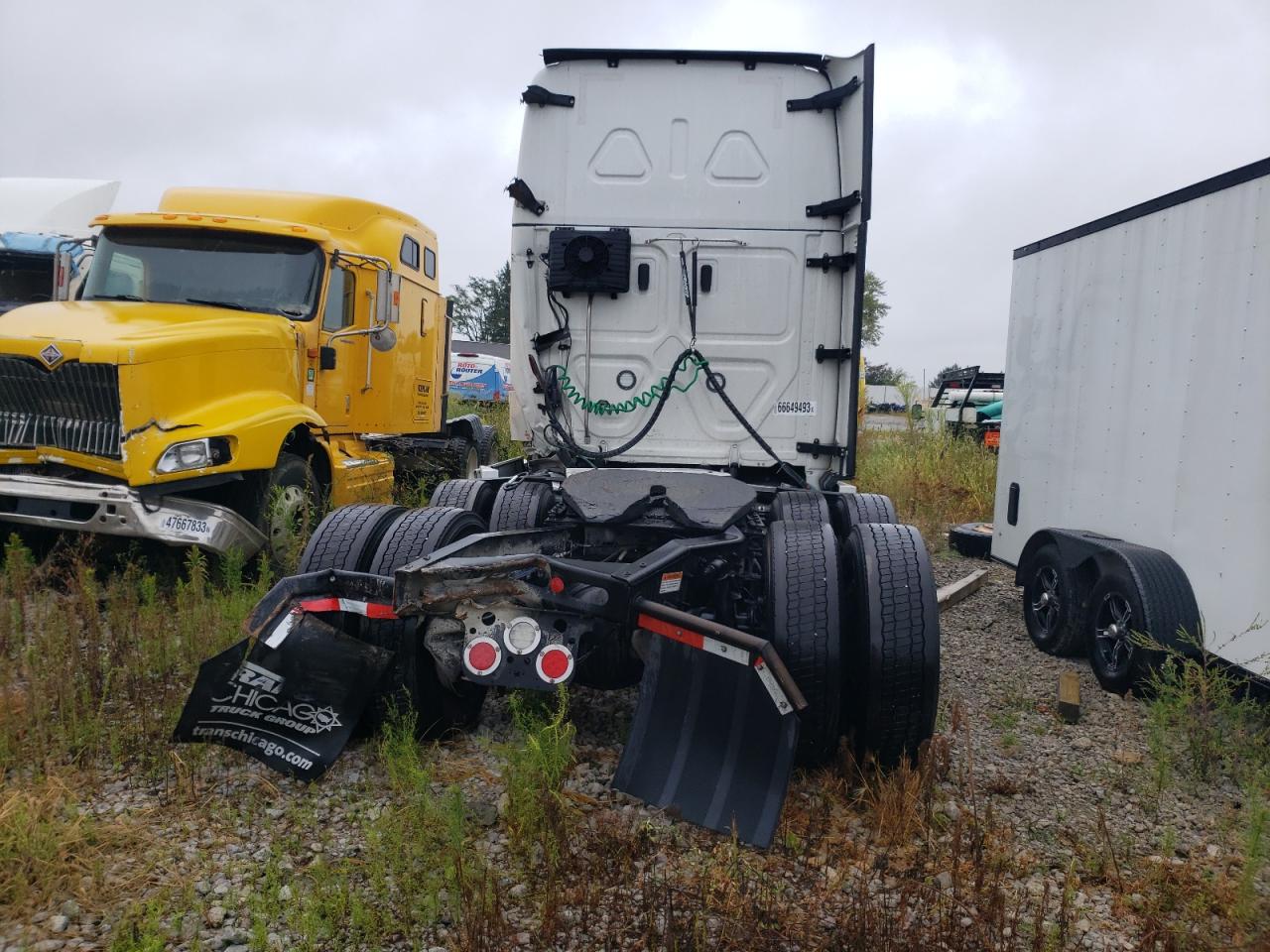 2021 Freightliner Cascadia 126 VIN: 3AKJHHDR2MSMU3384 Lot: 74191884