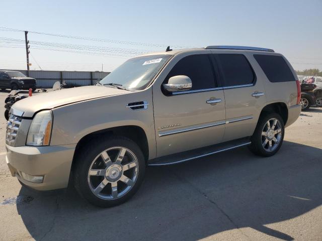 2008 Cadillac Escalade Luxury