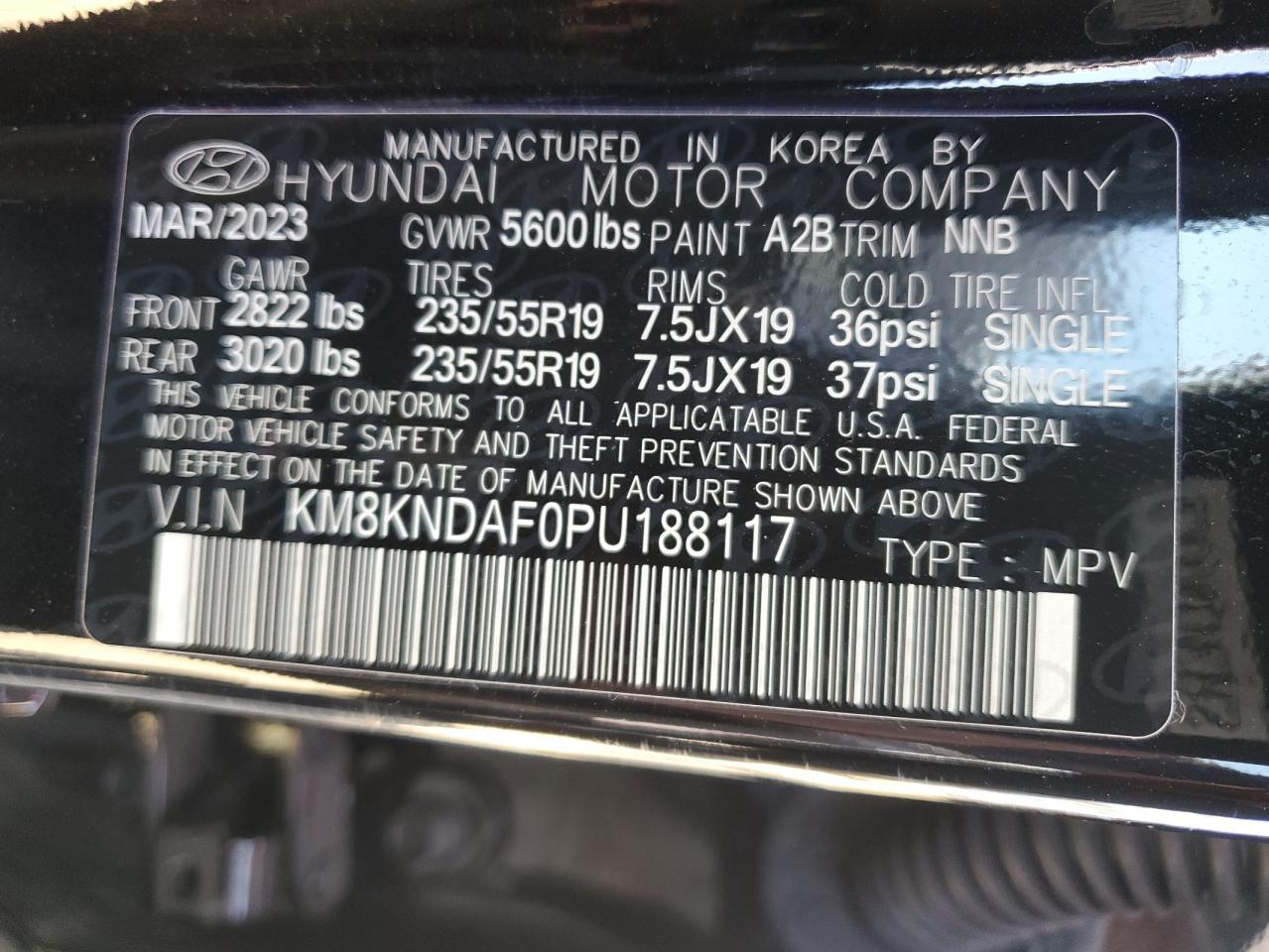 KM8KNDAF0PU188117 2023 Hyundai Ioniq 5 Sel