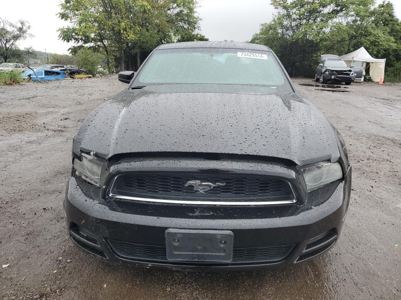 1ZVBP8AM7D5251690 2013 Ford Mustang