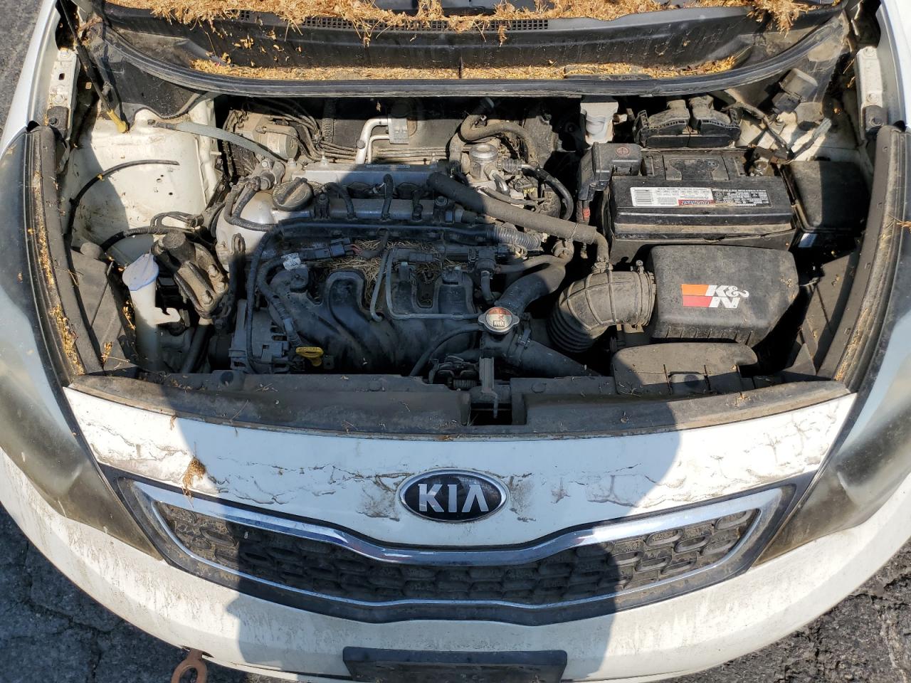 2013 Kia Rio Ex VIN: KNADN4A36D6156546 Lot: 71622534