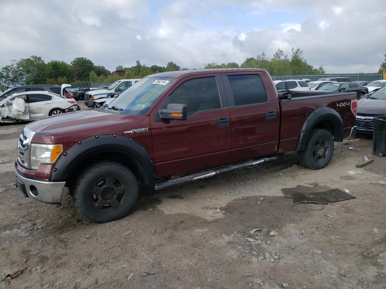 1FTFW1EV8AFD15291 2010 Ford F150 Supercrew