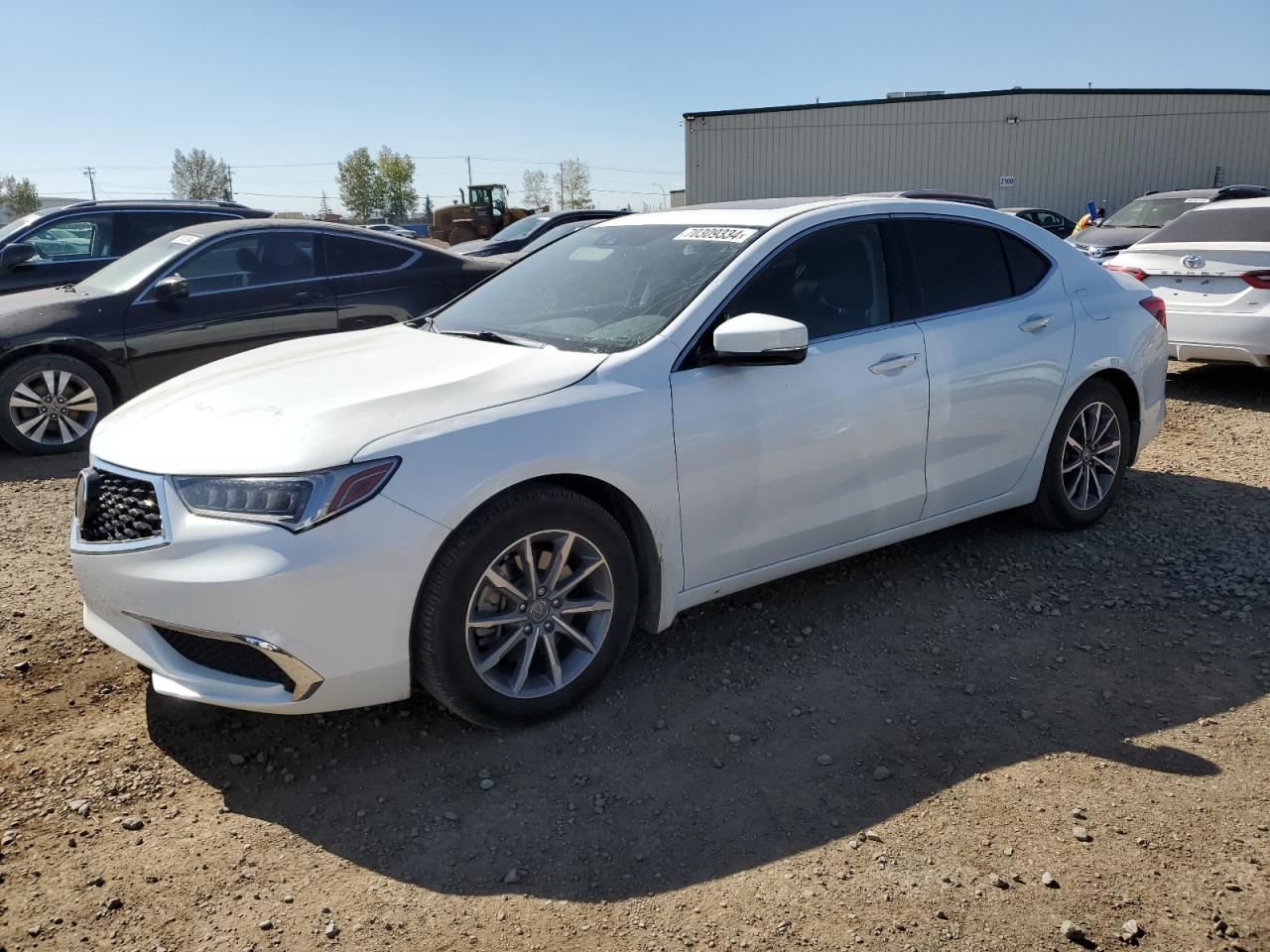 19UUB1F52JA800719 2018 Acura Tlx Tech