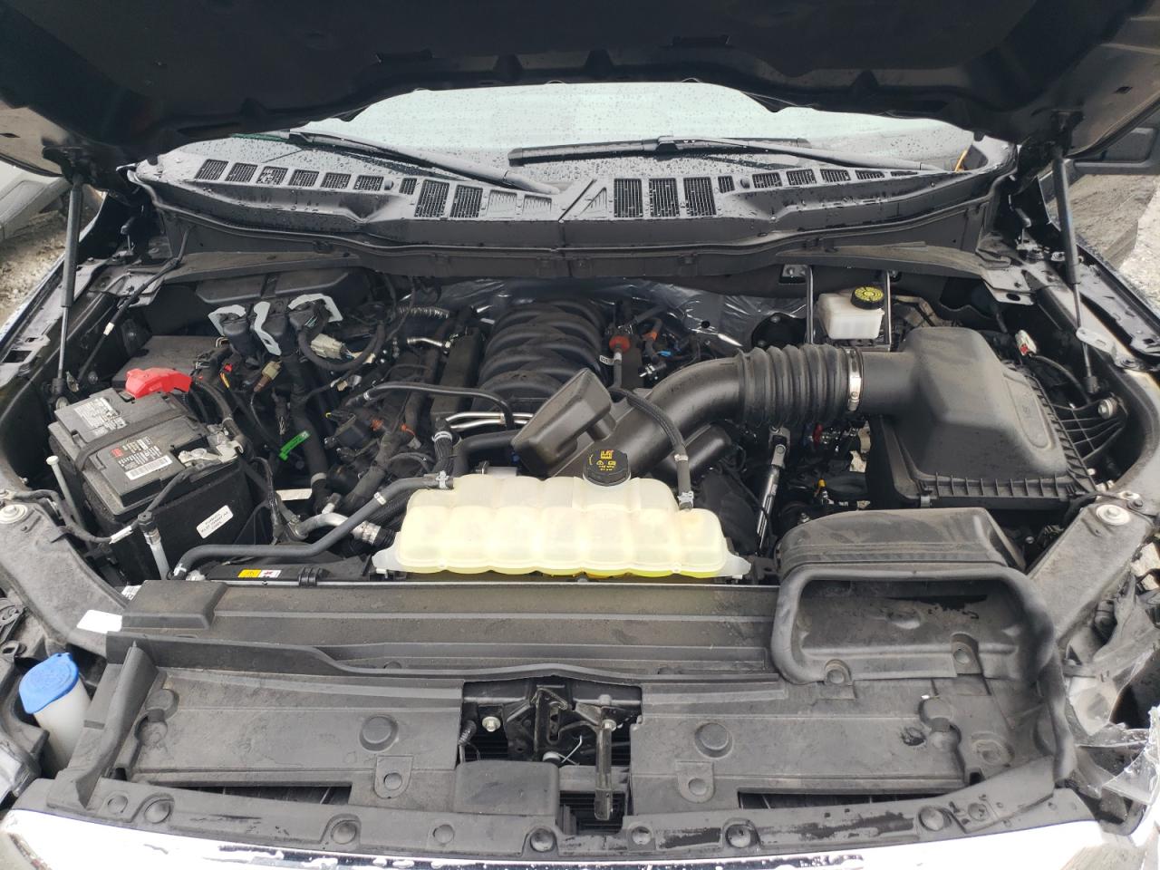 1FTFW1E55PKD85704 FORD F-150 2023