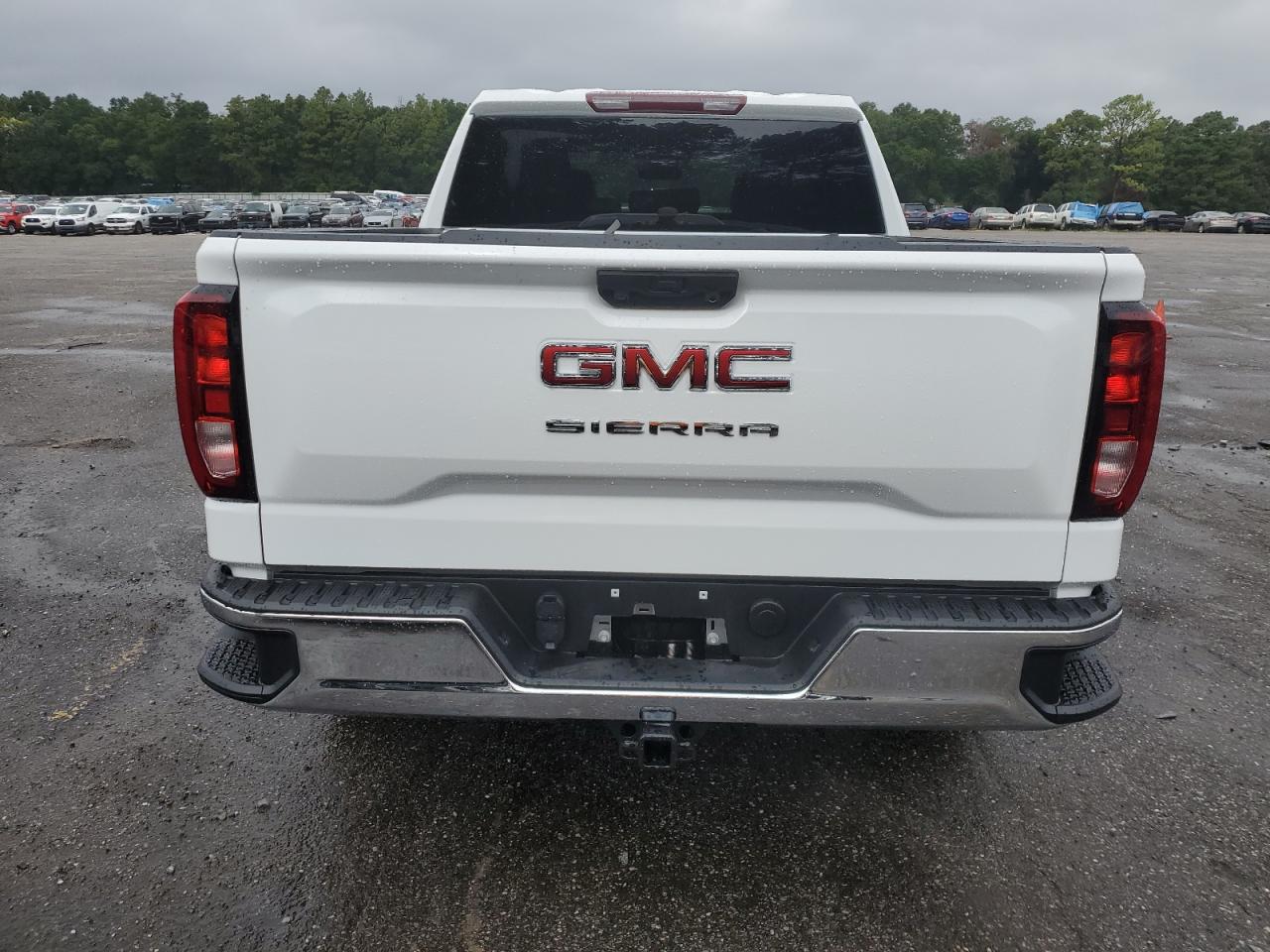 2024 GMC Sierra C1500 VIN: 3GTPHAEK4RG254195 Lot: 69996254