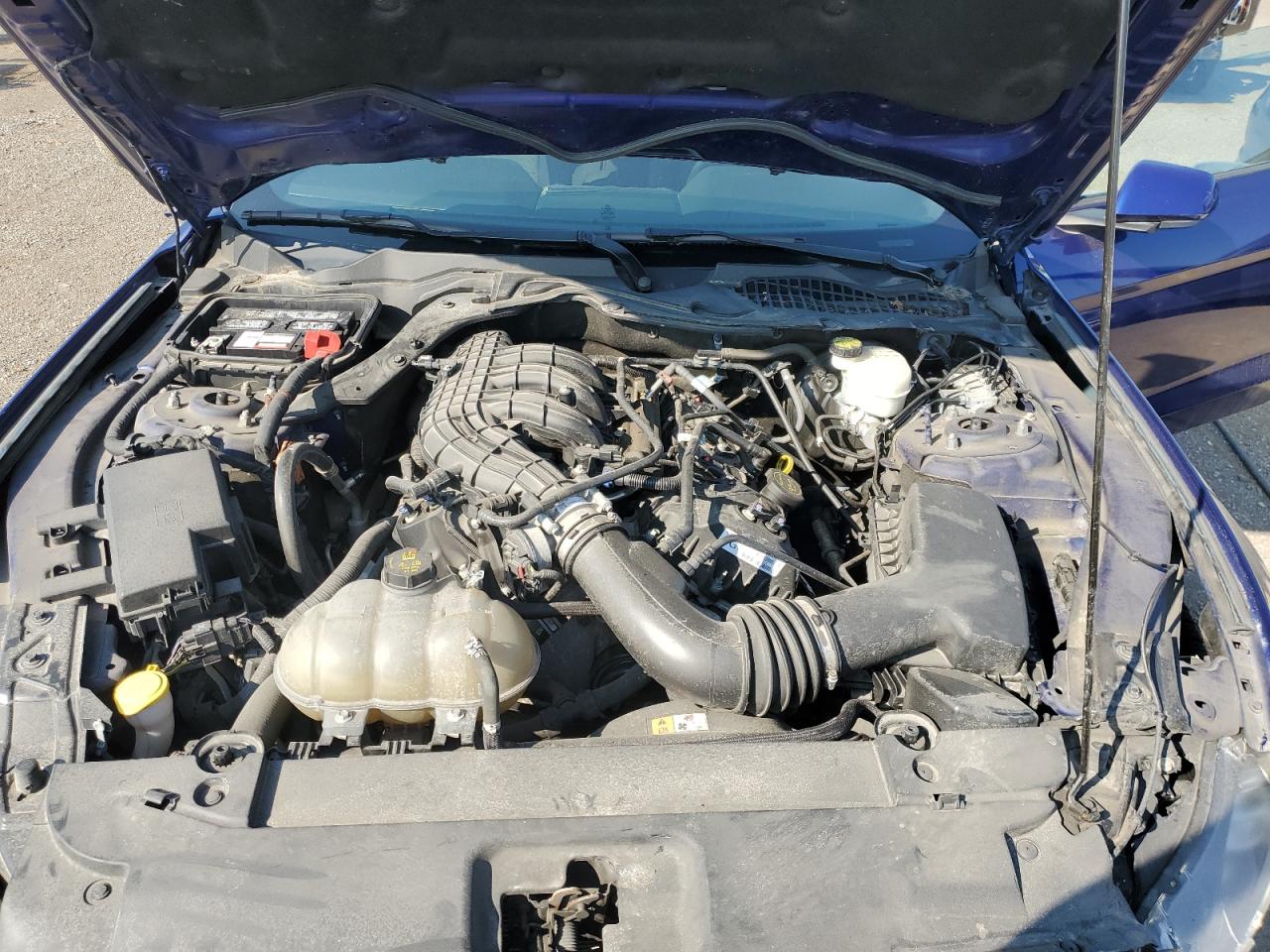 1FA6P8AM6G5319816 FORD ALL Models 2016