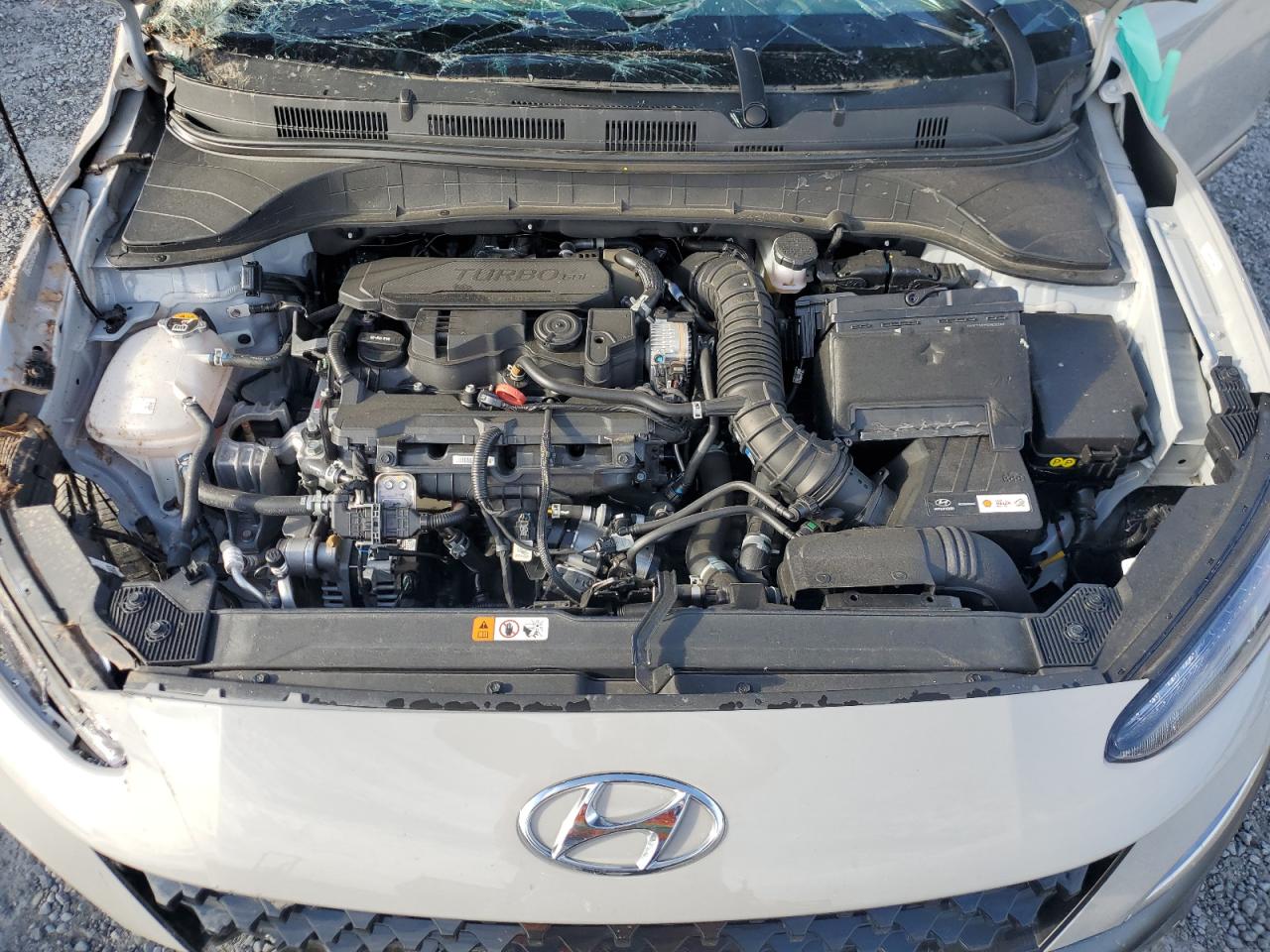 KM8K53A36PU044281 2023 Hyundai Kona Limited