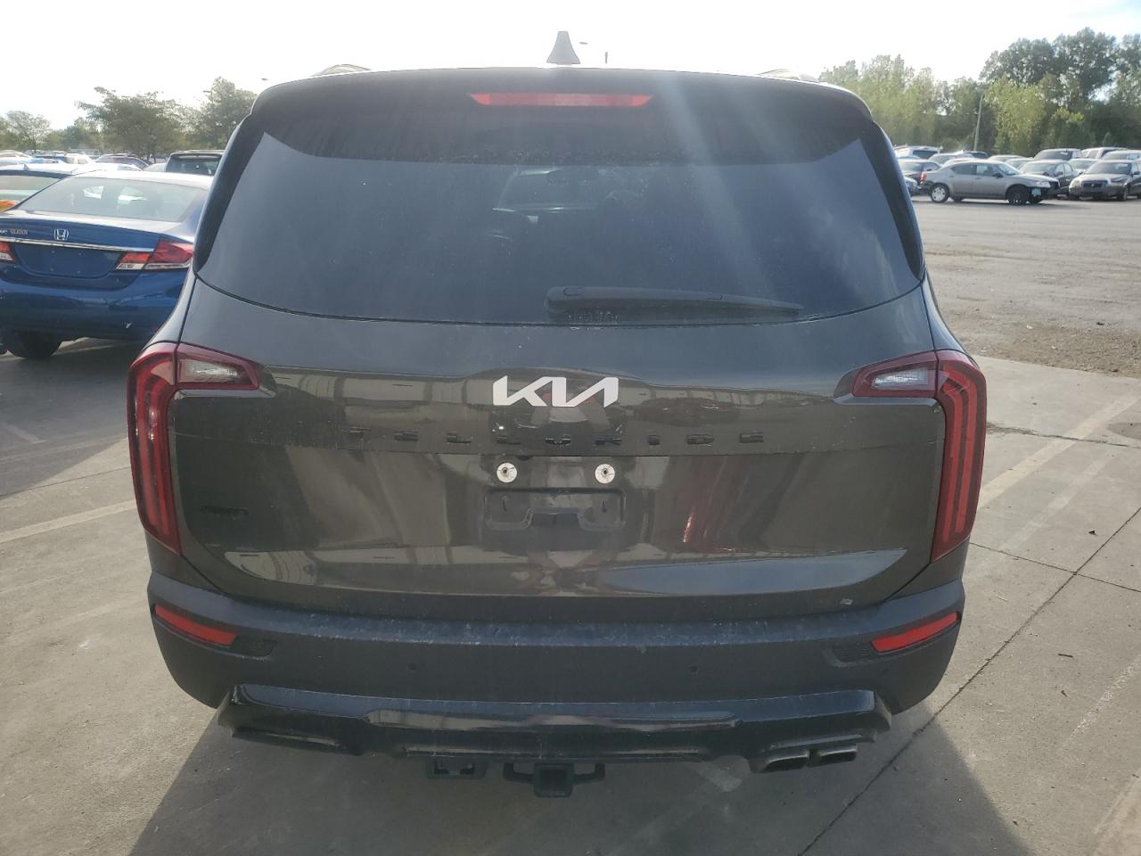 2022 Kia Telluride Sx VIN: 5XYP5DHC6NG302450 Lot: 69631194