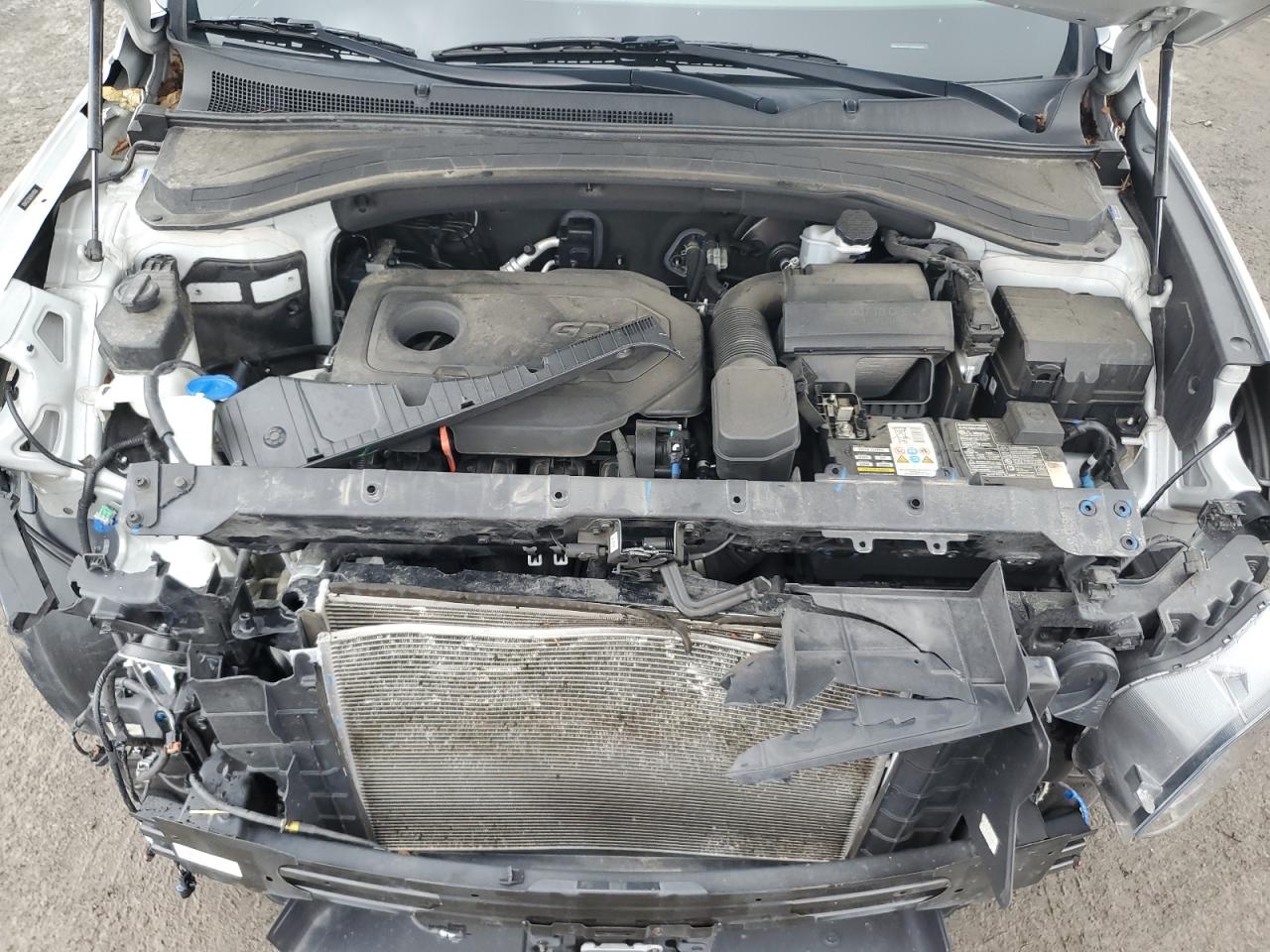 5NMS3CAD6KH114106 2019 Hyundai Santa Fe Sel