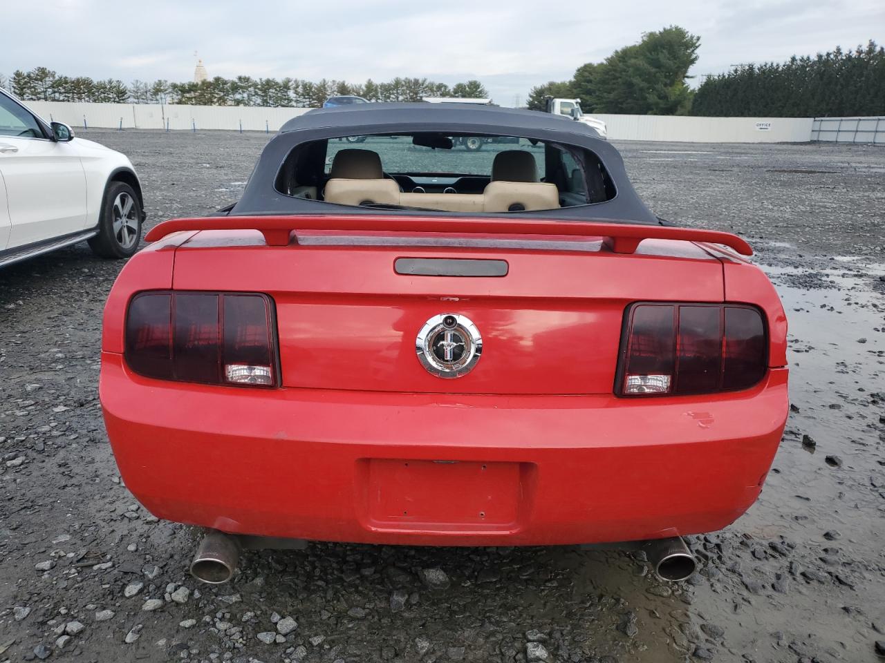 2005 Ford Mustang VIN: 1ZVFT84N155216162 Lot: 73612844