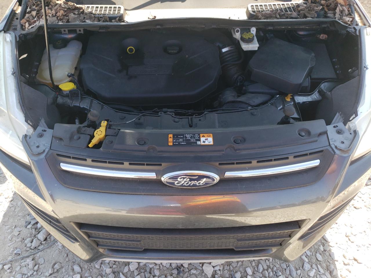 2016 Ford Escape Se VIN: 1FMCU0G94GUC05096 Lot: 71812294