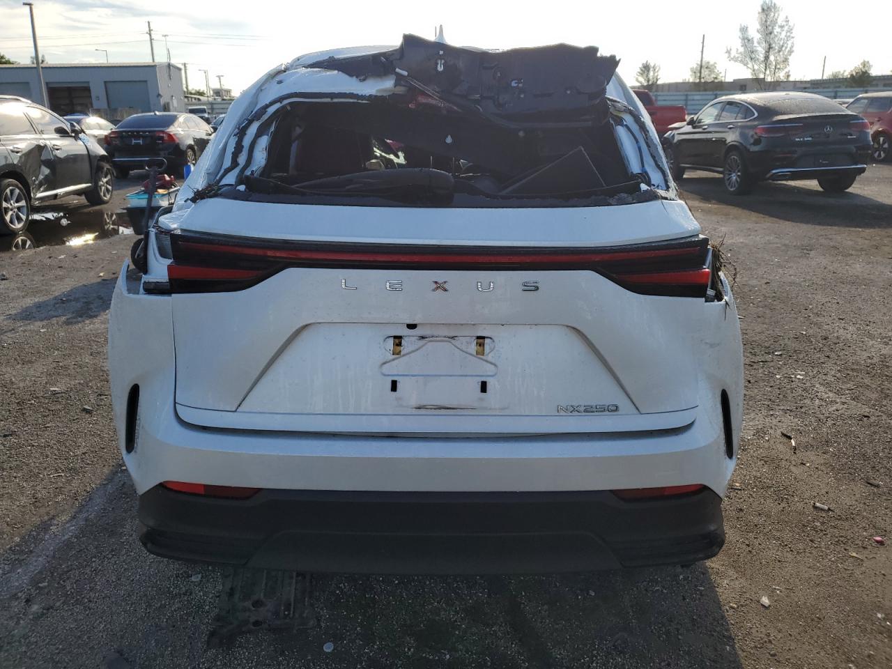 2023 Lexus Nx 250 VIN: JTJADCAZ9P2006527 Lot: 71978894