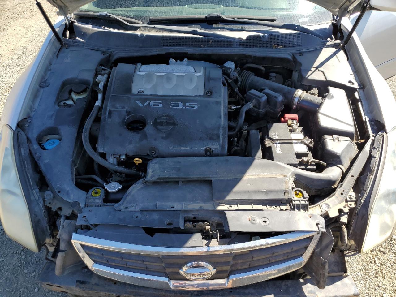 1N4BA41E07C803557 2007 Nissan Maxima Se