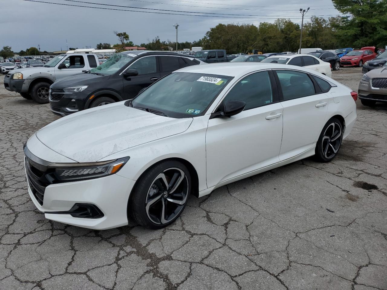 2021 Honda Accord Sport VIN: 1HGCV1F31MA096888 Lot: 71965524