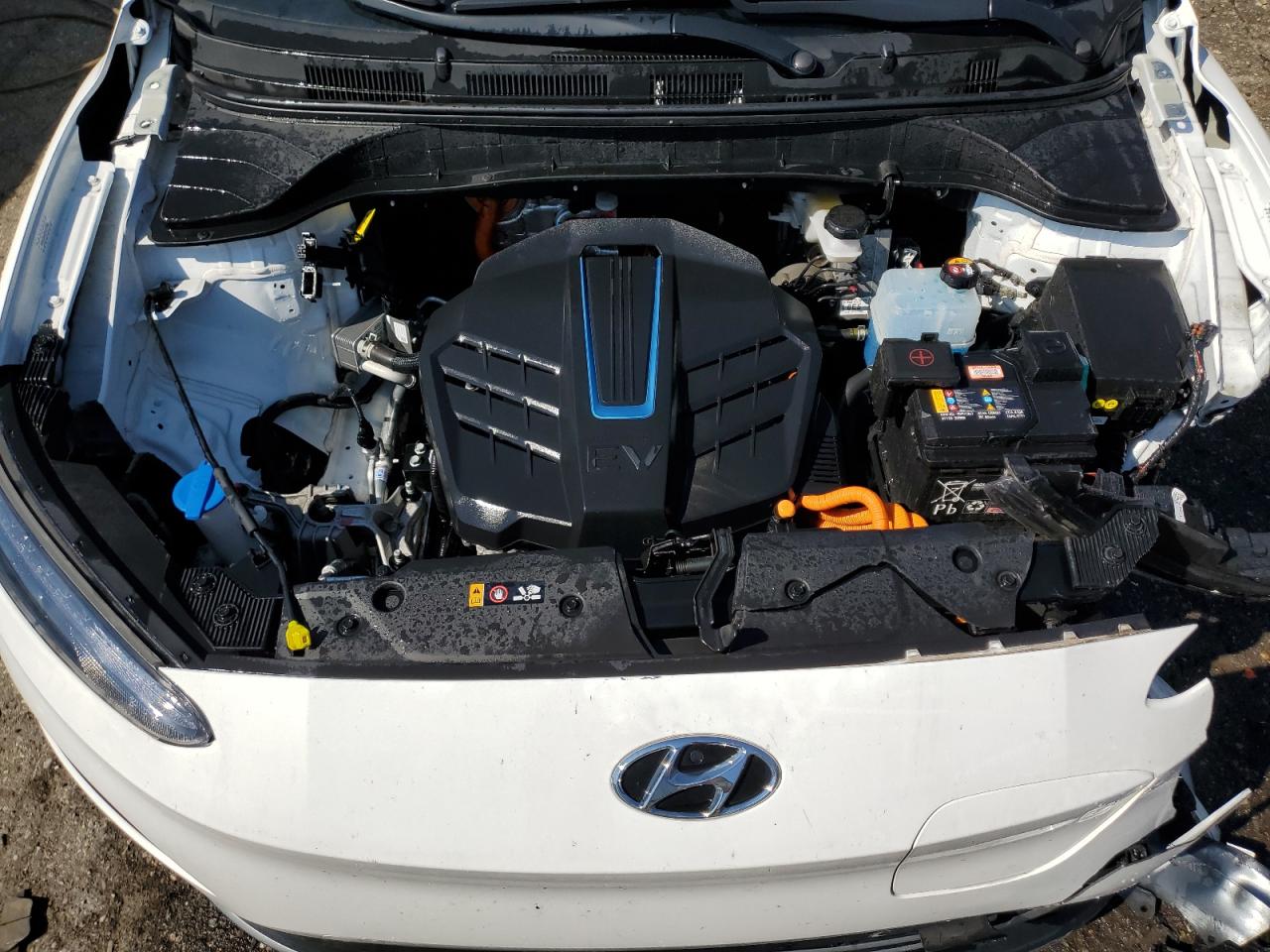 VIN KM8K23AG3PU187006 2023 HYUNDAI KONA no.11