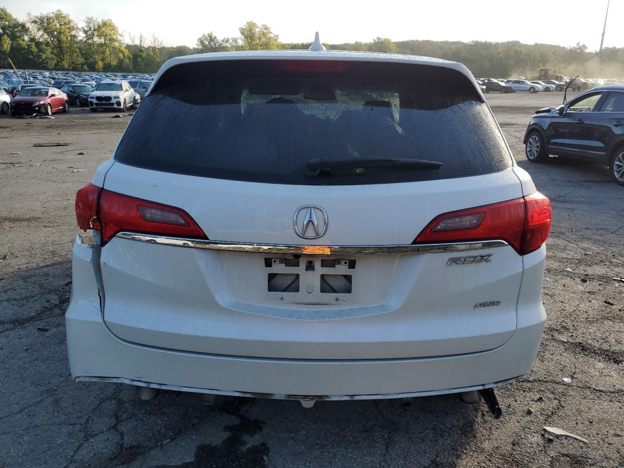 5J8TB4H51DL007706 2013 Acura Rdx Technology