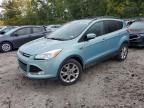 2013 Ford Escape Sel იყიდება Candia-ში, NH - Rear End