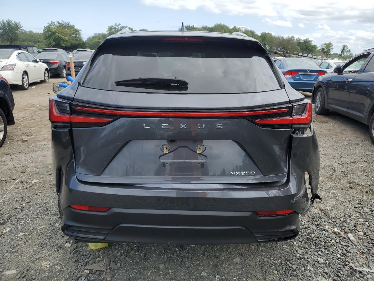 2022 Lexus Nx 250 VIN: 2T2GDCAZ9NC002873 Lot: 70251194