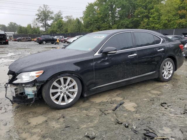 2010 Lexus Ls 460