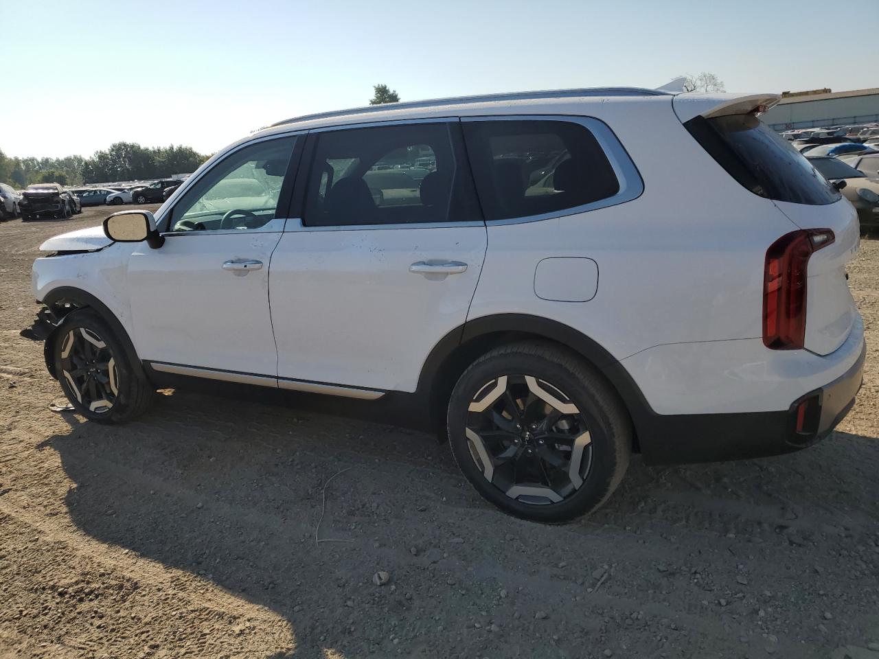 VIN 5XYP6DGC7RG556771 2024 KIA TELLURIDE no.2