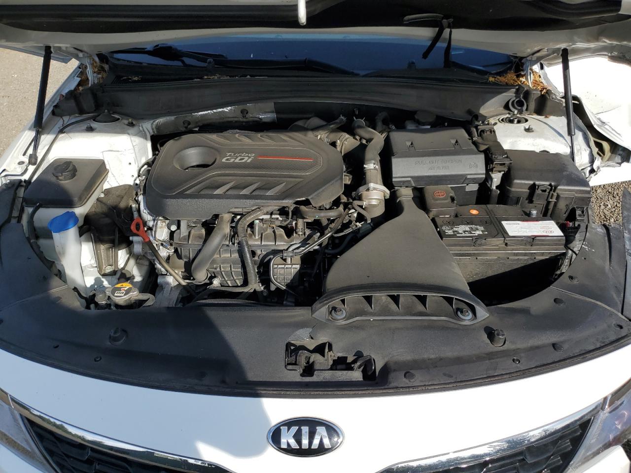 5XXGV4L27KG315903 2019 Kia Optima Sxl