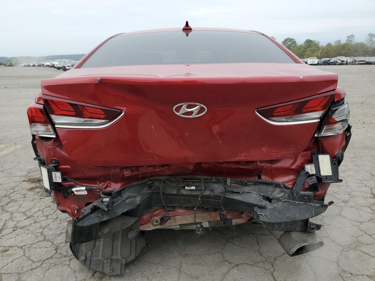 5NPE34AF9KH729109 2019 Hyundai Sonata Limited