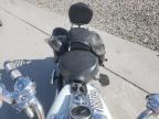 2001 Harley-Davidson Flstci  for Sale in Farr West, UT - Front End