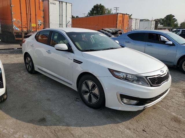 Седаны KIA OPTIMA 2013 Белы