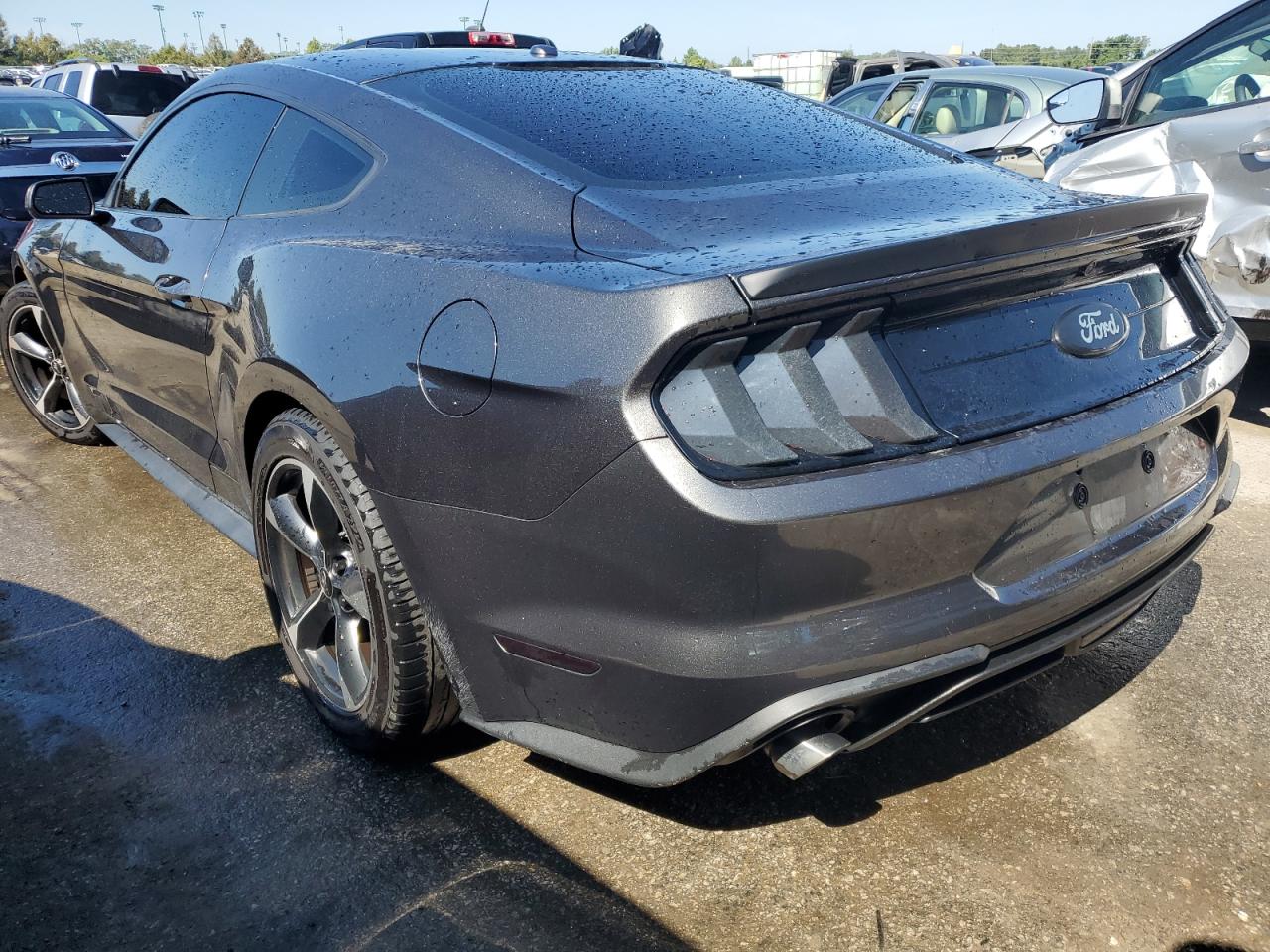 1FA6P8THXK5104920 2019 Ford Mustang