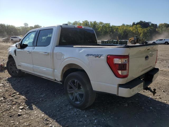 1FTFW1EDXPFD02199 Ford F-150 F150 SUPER 2