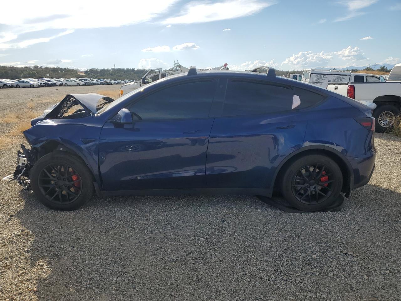 2023 Tesla Model Y VIN: 7SAYGDEFXPF787881 Lot: 71830684